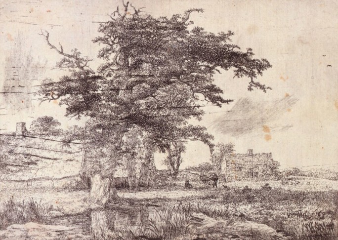 Landscape with Oak Trees, Farmhouse and a Body of Water, Jacob van Ruisdael